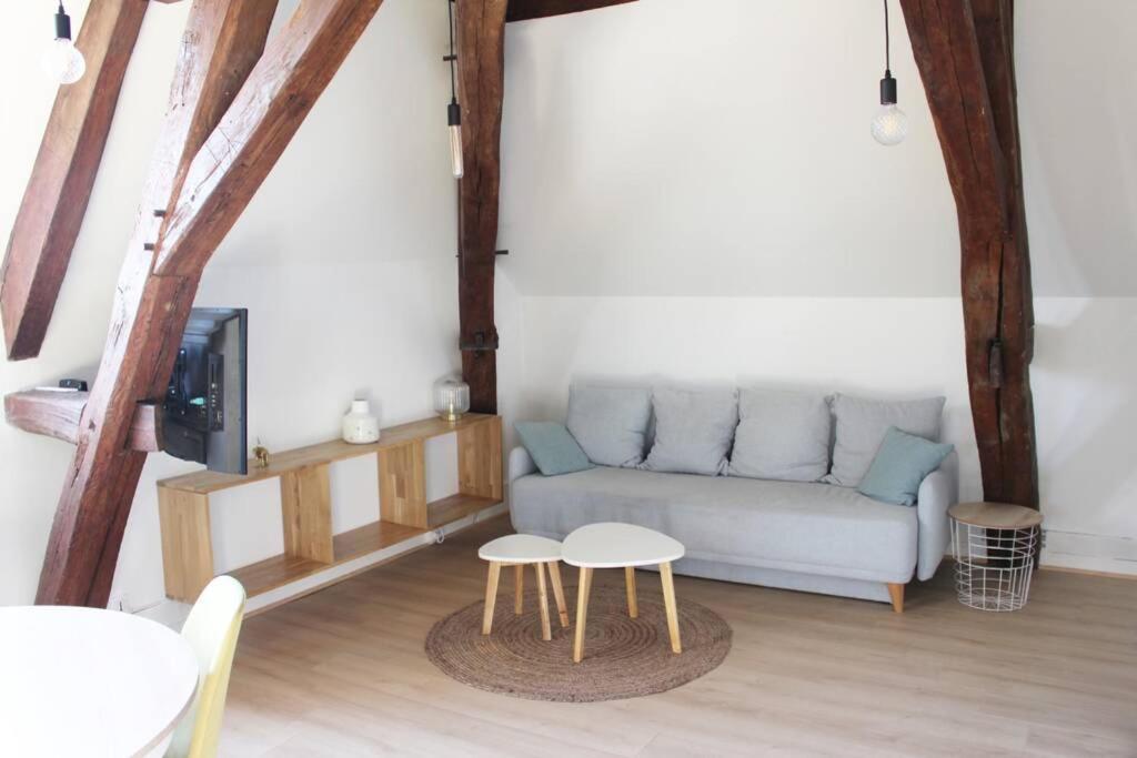 Appartement cocon centre ville Auxerre Extérieur photo